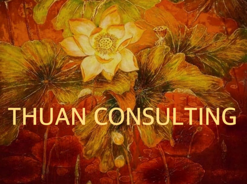 Thuan Consulting